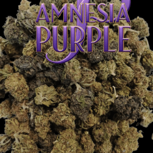 AMNESIA PURPLE 10 grammes