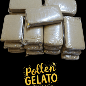 Pollen GELATO