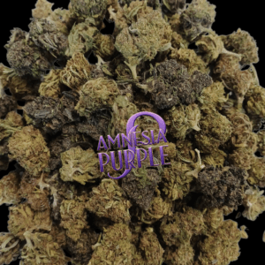 AMNESIA PURPLE 10 grammes