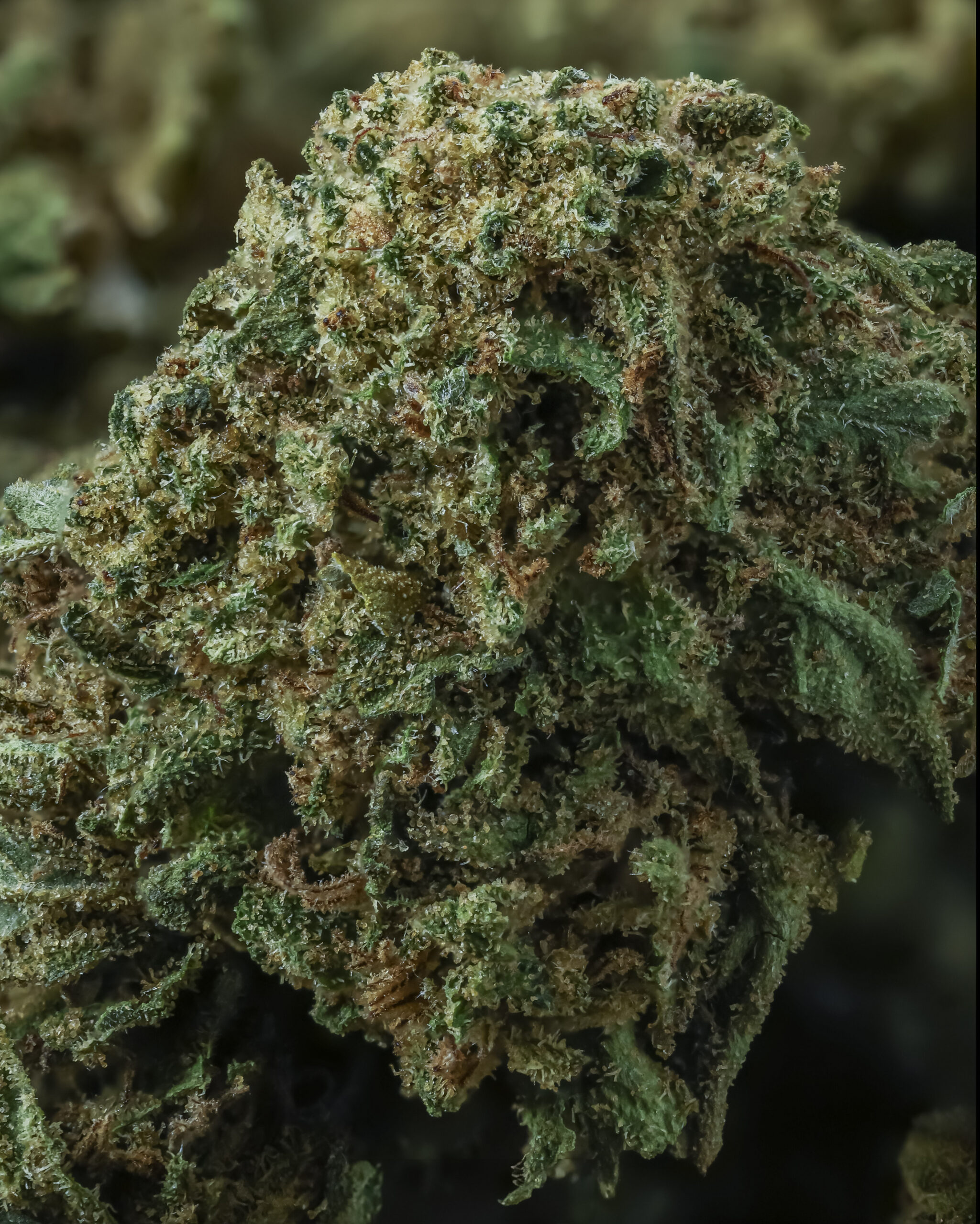 AMNESIA HAZE